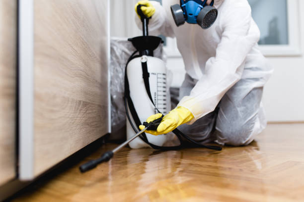 Best Wildlife Control Services  in Somerset, PA