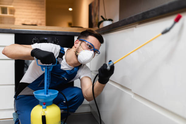 Best Pest Control Treatment  in Somerset, PA