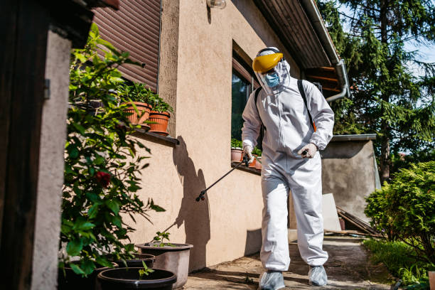 Best Flea Control Services  in Somerset, PA