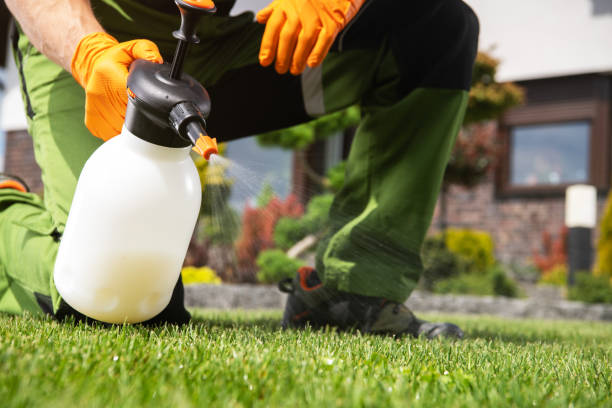 Trusted Somerset, PA Pest Control Experts