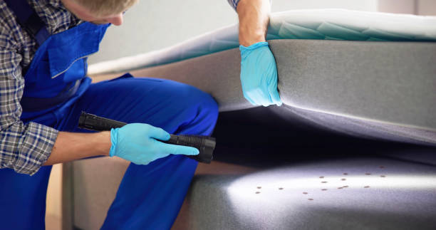Best Emergency Pest Control  in Somerset, PA