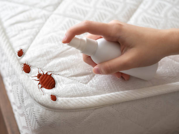 Best Mosquito Control Services  in Somerset, PA