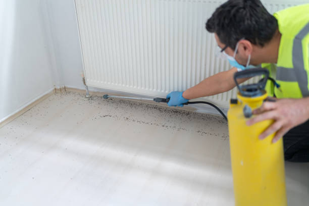 Best Affordable Exterminators  in Somerset, PA
